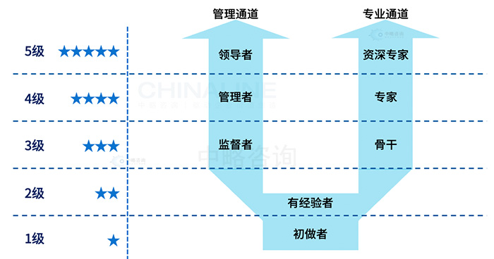 職業發展通道理(lǐ)論