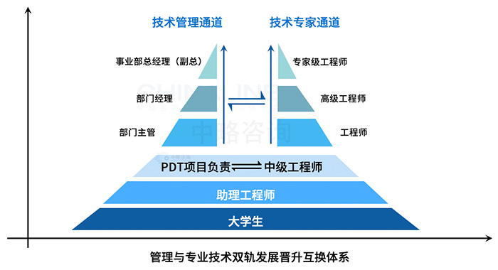 雙軌(管理(lǐ)與專業技(jì )術)晉升互換機制