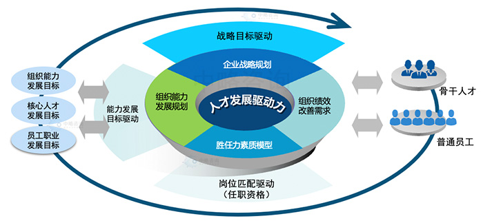 人才發展驅動力模型