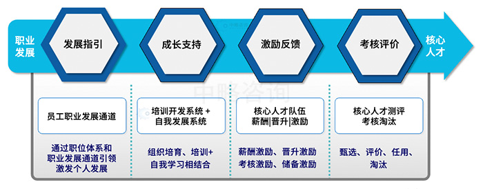 核心人才内生機制模型