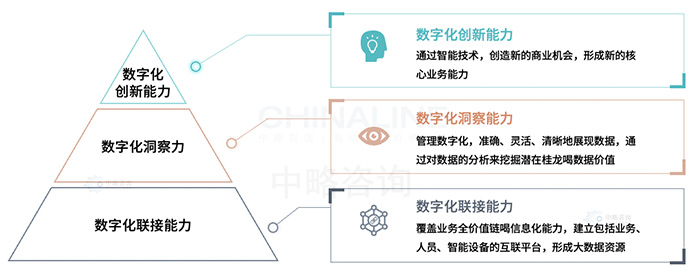 企業數字化能(néng)力模型