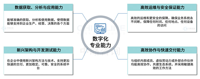 數字化專業人才能(néng)力标準